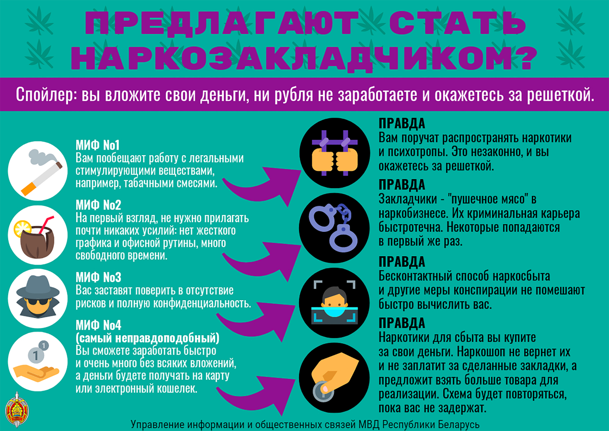 ИНФОГРАФИКА Предлагают стать наркозакладчиком